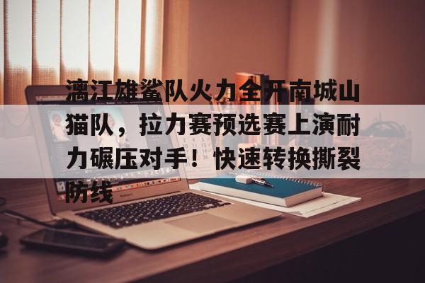 爱游戏网页版-漓江雄鲨队火力全开南城山猫队，拉力赛预选赛上演耐力碾压对手！快速转换撕裂防线的简单介绍