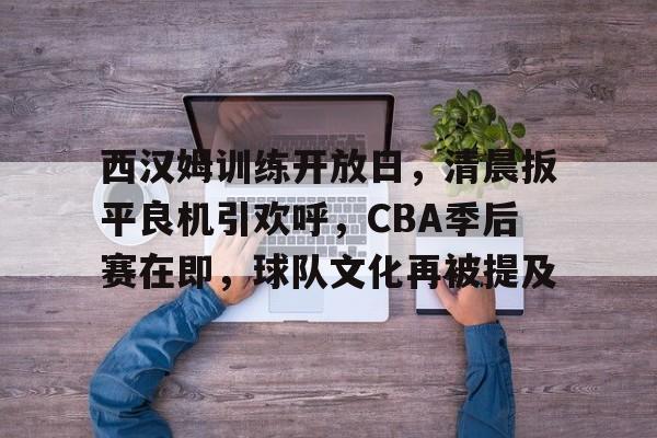 爱游戏在线登录-关于西汉姆训练开放日，清晨扳平良机引欢呼，CBA季后赛在即，球队文化再被提及的信息